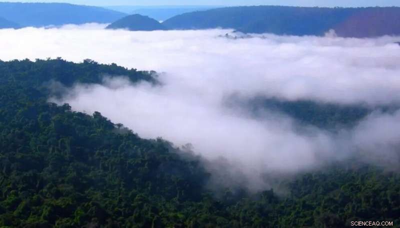 Does Science Adequately Protect Amazon Communities?