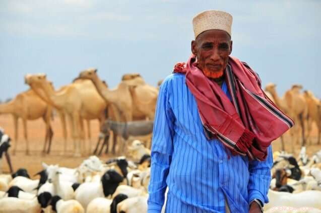 Navigating Climate and Water Challenges in Africa’s Transforming Landscape