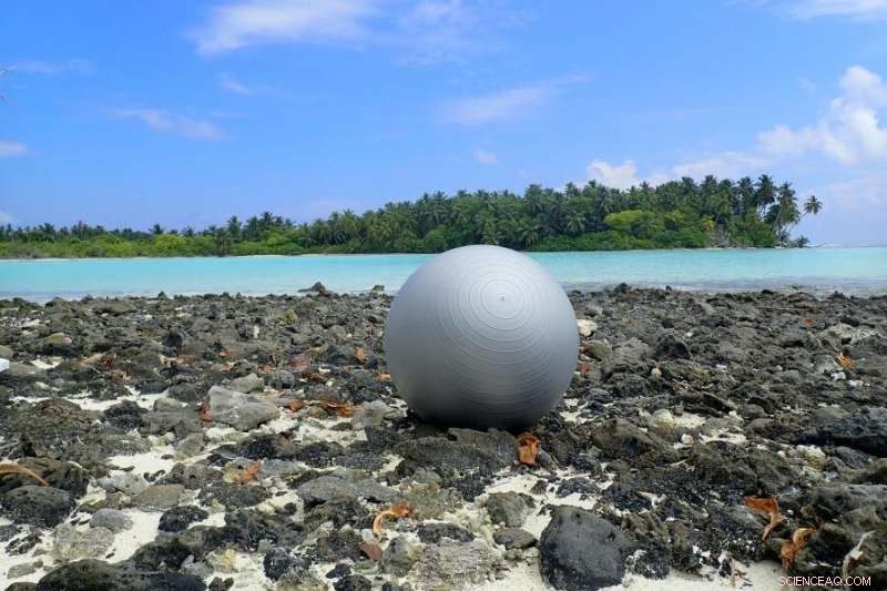 Oceans at Risk: The Synergistic Threat of Climate Change and Plastic Pollution