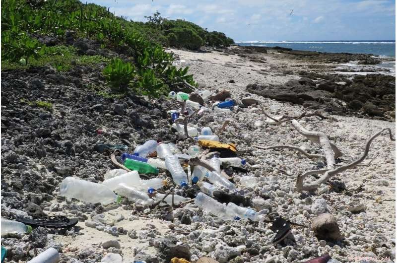 Oceans at Risk: The Synergistic Threat of Climate Change and Plastic Pollution
