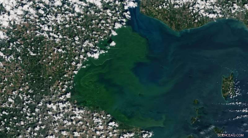 Escalating Toxic Algae Blooms Threaten Water Supplies – Why Oversight Lags
