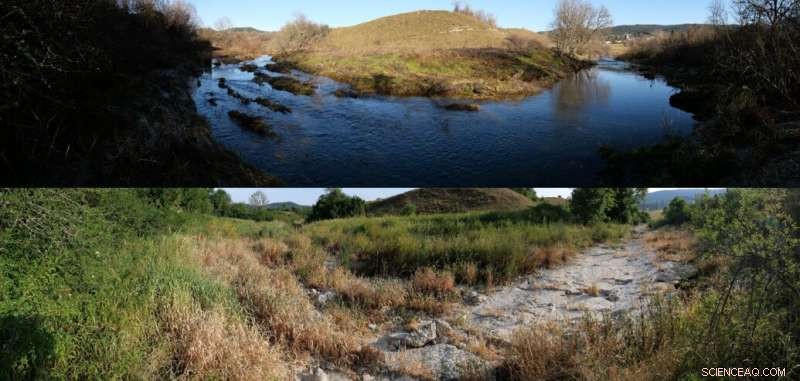 DRYvER: Open-Source App Empowering Citizen Scientists to Track River Drying Events