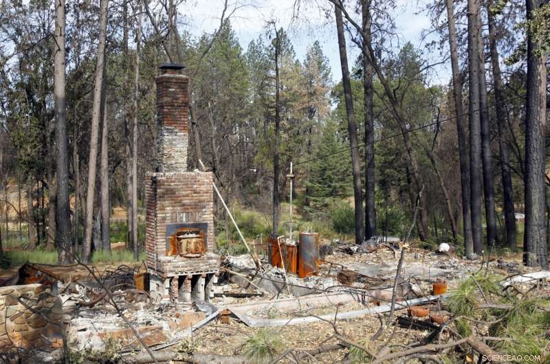 Why Home Protection Matters During Wildfires: Essential Strategies