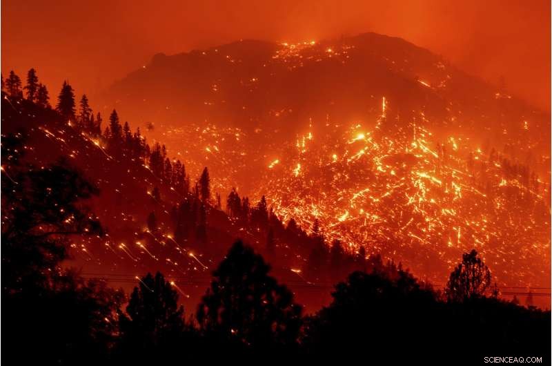 Why Home Protection Matters During Wildfires: Essential Strategies