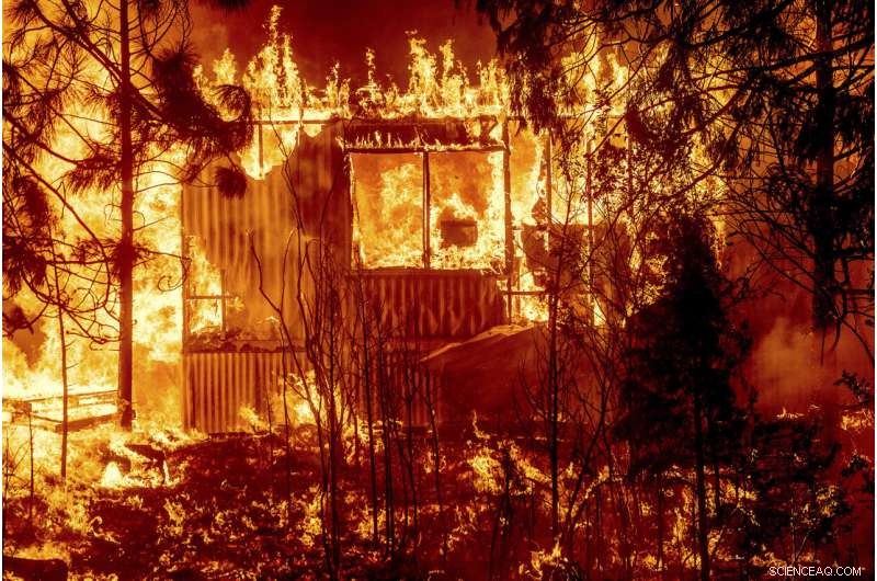 Why Home Protection Matters During Wildfires: Essential Strategies