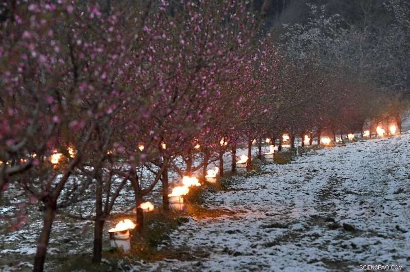 10 Climate‑Fueled Disasters: Fires, Floods, Insects and More