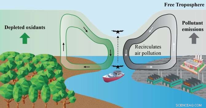 Unraveling Amazon River Winds Through Air Pollution Observations