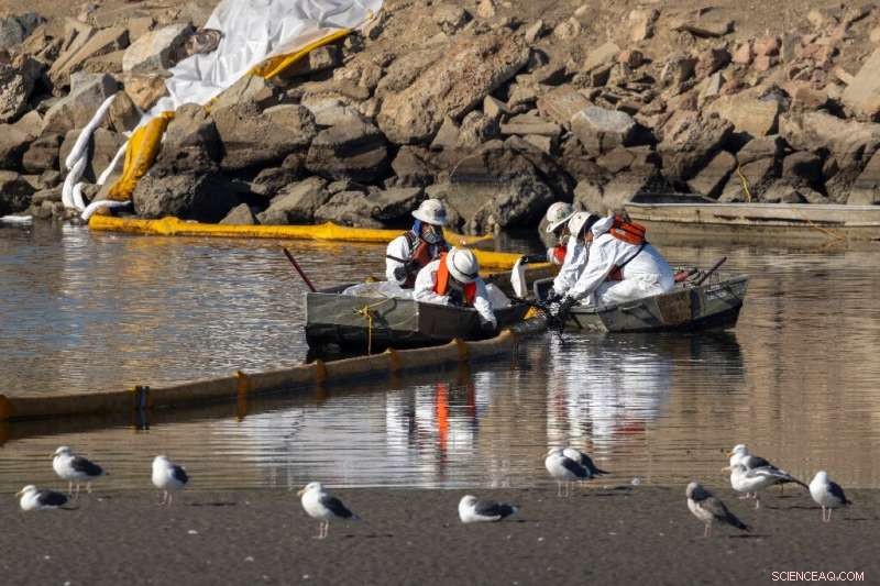 California Mobilizes Rapid Response to Contain Oil Spill Threatening Wildlife and Beaches