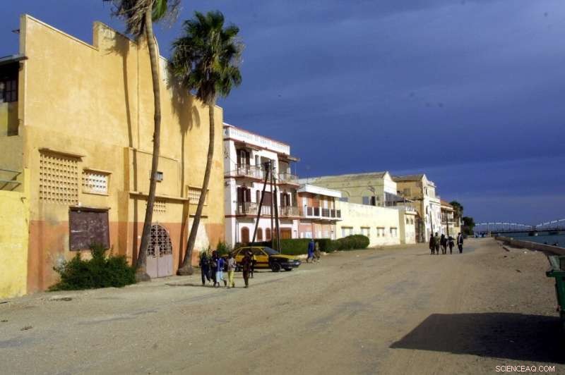 Saint-Louis: Senegal’s Historic Capital Fortifies Against Rising Seas