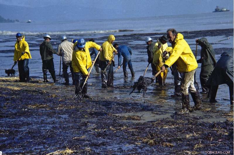52 Years After Historic Oil Disaster, California Faces New Spill