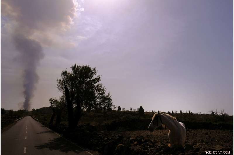 La Palma Volcano Erupts: Lava Surge After Crater Collapse Threatens Thousands