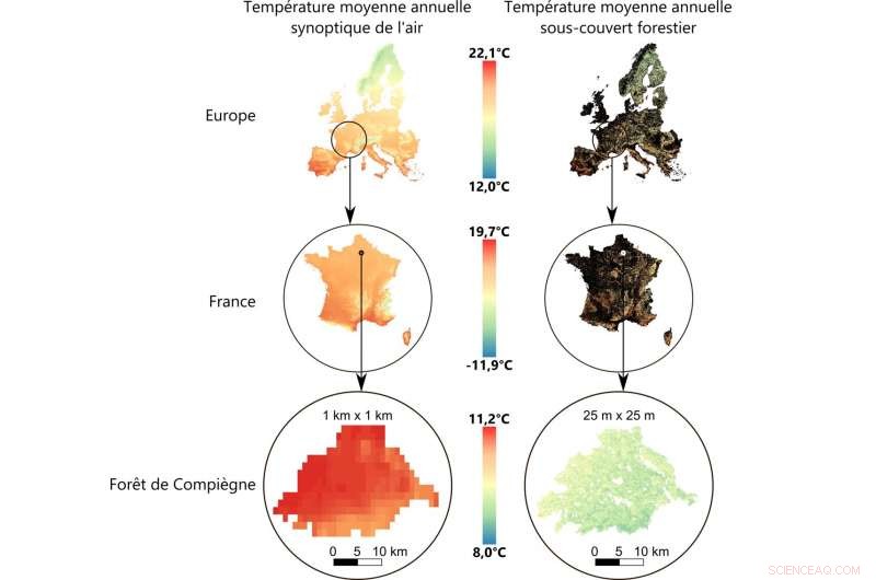 Pioneering European Map Showcasing Forests’ Insulating Effect