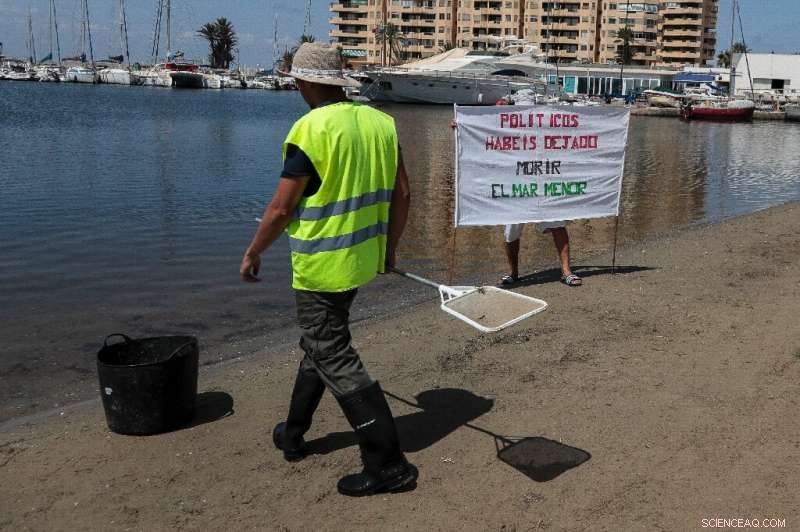 Ecologists Urge EU to Act on Spain s Mar Menor Lagoon Crisis