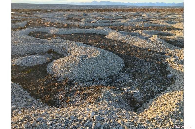 Ice Needles Create Stone Circles in Arctic Landscapes