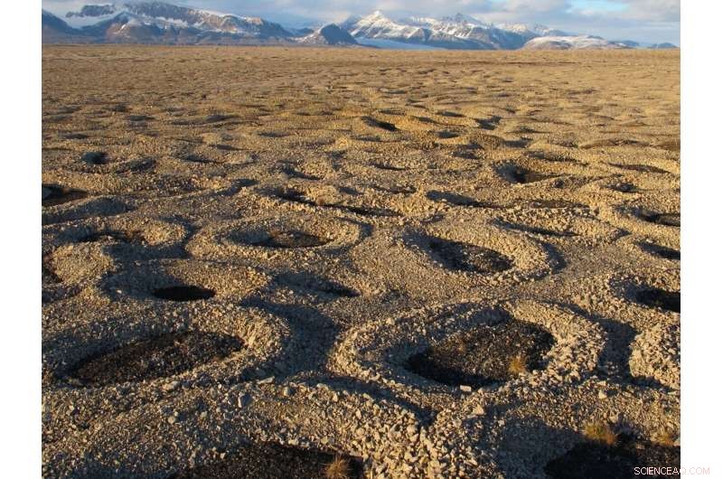 Ice Needles Create Stone Circles in Arctic Landscapes