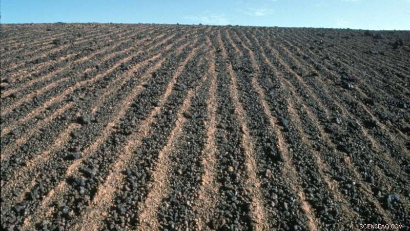 Ice Needles Create Stone Circles in Arctic Landscapes