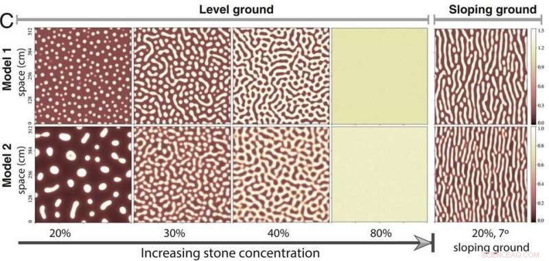 Ice Needles Create Stone Circles in Arctic Landscapes