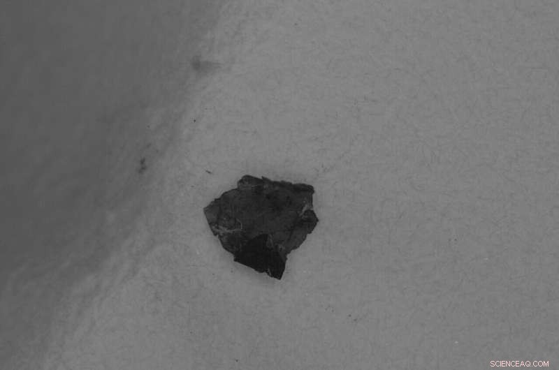 Research Uncovers Extensive Microscopic Paint Flakes in North Atlantic Waters