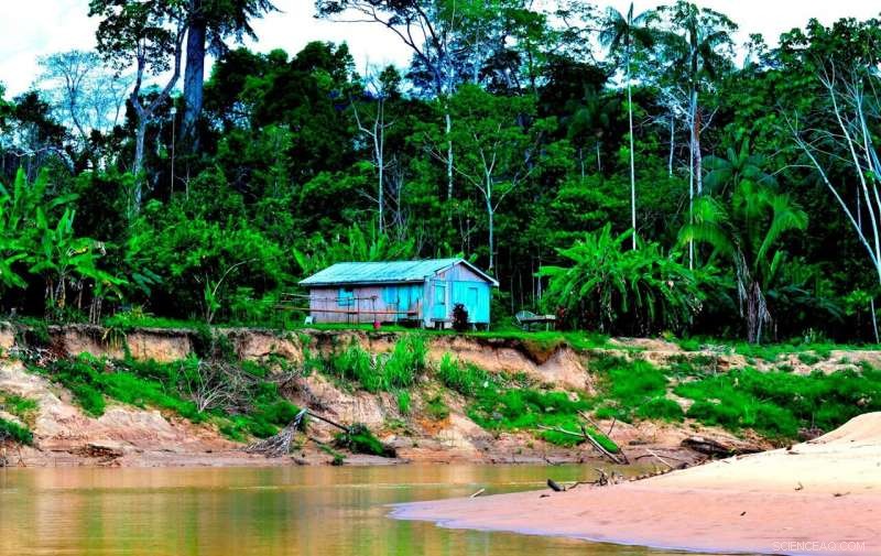 New Study Shows How Wild Meat Consumption Cuts Greenhouse Gas Emissions