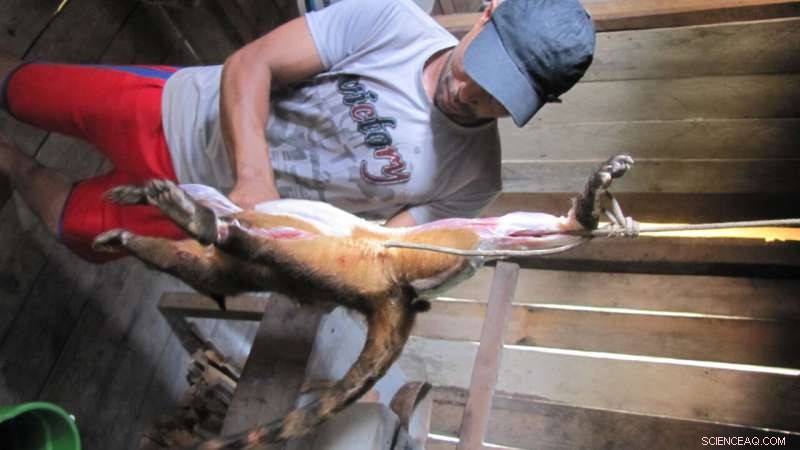 New Study Shows How Wild Meat Consumption Cuts Greenhouse Gas Emissions