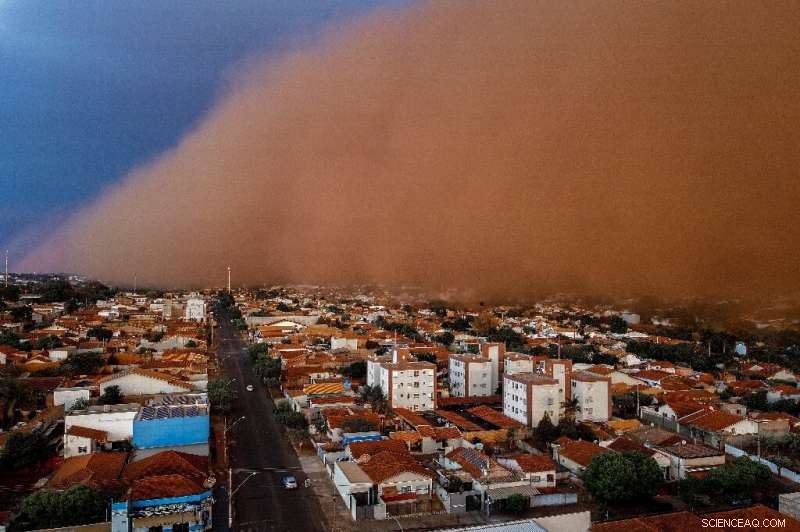 Fatal Sandstorms in Brazil Triggered by Extreme Drought: 6 Lives Lost