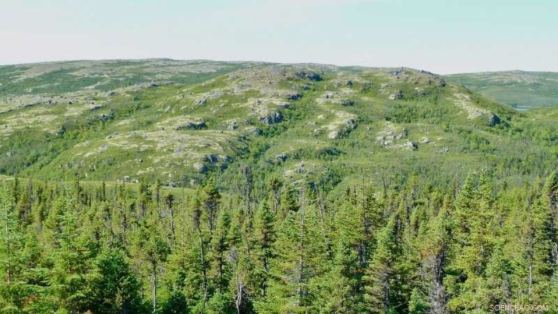 The Extinct Plate Tectonics Style That Built Earth s Earliest Flat Mountains
