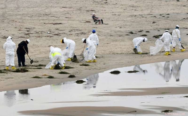 Investigators Reveal California Pipeline Leak May Have Persisted for a Year