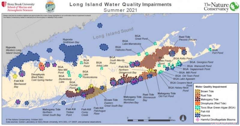 Long Island s 2021 Estuary Water Quality Assessment Reveals Critical Issues