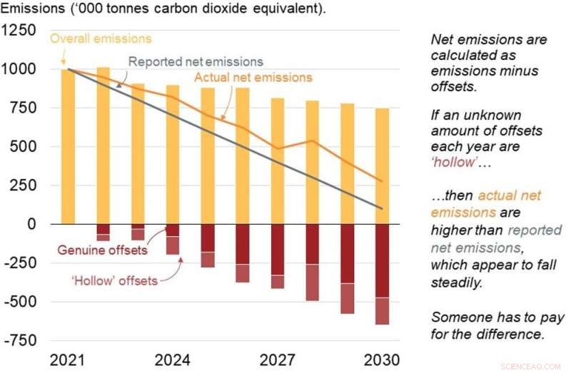 Carbon Offsets: Essential for Climate Stability – How to Make Them Effective