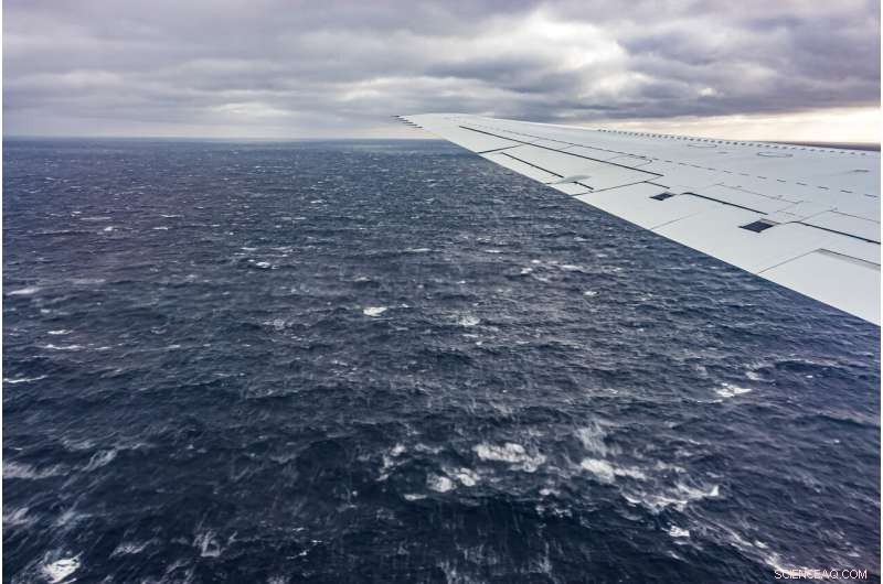 Marine Life Drives Cloud Formation, Yet Existing Clouds Inhibit New Growth