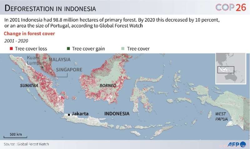 UN Deforestation Initiative Faces Scrutiny Following Indonesia Deal Collapse