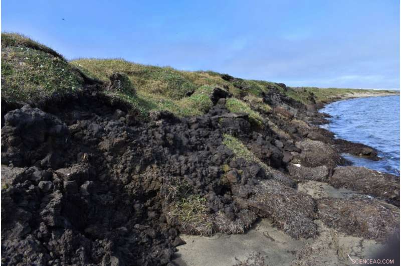 Understanding Carbon in Arctic Rivers: Impact and Research Methods