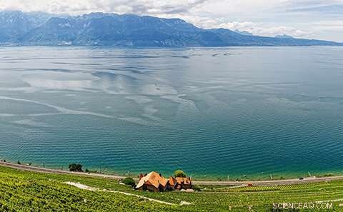 How Seasonal Mixing in Large Lakes Signals Their Climate Change Vulnerability