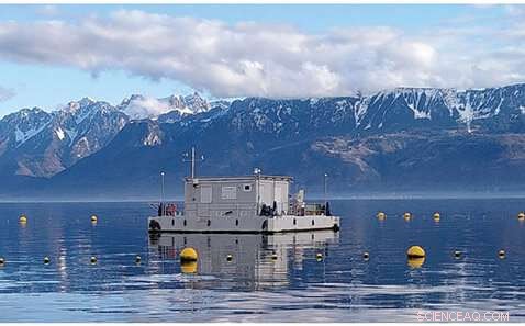 How Seasonal Mixing in Large Lakes Signals Their Climate Change Vulnerability