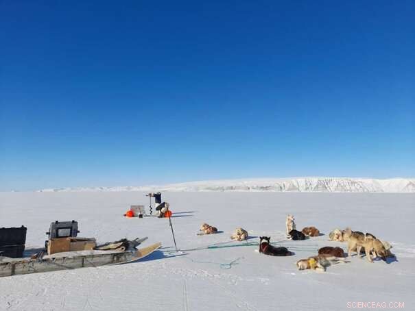 Climate Change: A Global Priority Shaping Our Future