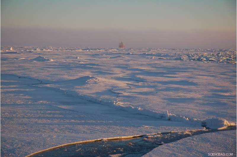 Arctic Ocean s Last Ice Zone Faces Vanishing by 2100