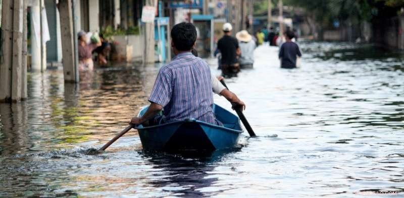 Hidden Environmental Costs of Global Trade Revealed