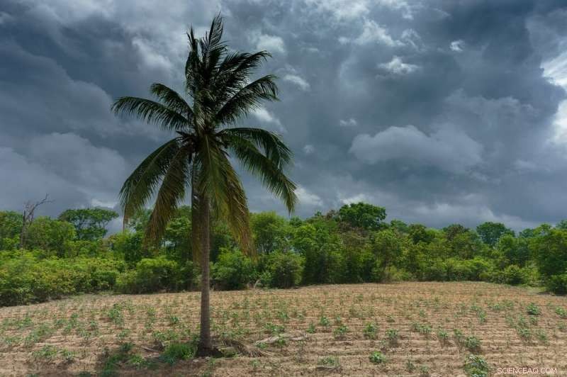 Hidden Environmental Costs of Global Trade Revealed