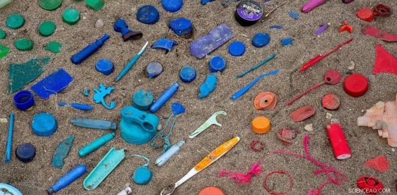 Rebuilding the Plastic Recycling System: Proven Strategies for a Sustainable Future