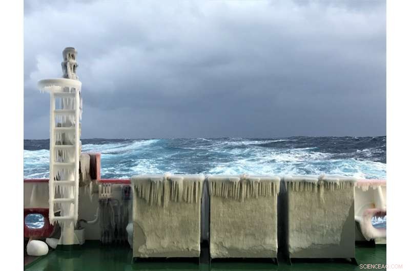 Southern Oceans Drive Global Carbon Cycle: Stronger Impact Than Anticipated