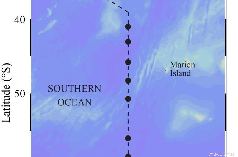 Southern Oceans Drive Global Carbon Cycle: Stronger Impact Than Anticipated