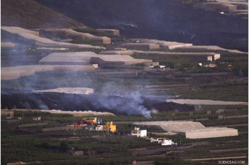 La Palma Volcano Eruption Triggers Strongest Quake Since Outbreak, Devastating the Island