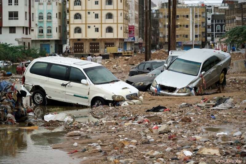 Experts Warn: Climate Change Poses Dual Threat to Oil-Rich Middle East