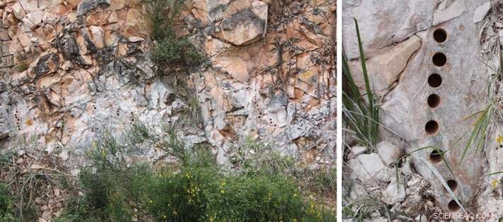 Did the Earth Tilt 84 Million Years Ago? A Late Cretaceous Investigation