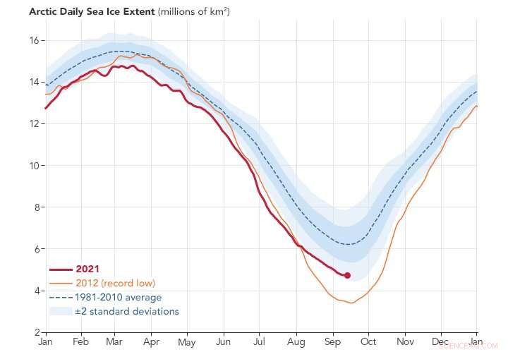Understanding Sea Ice: 5 Key Facts Explained