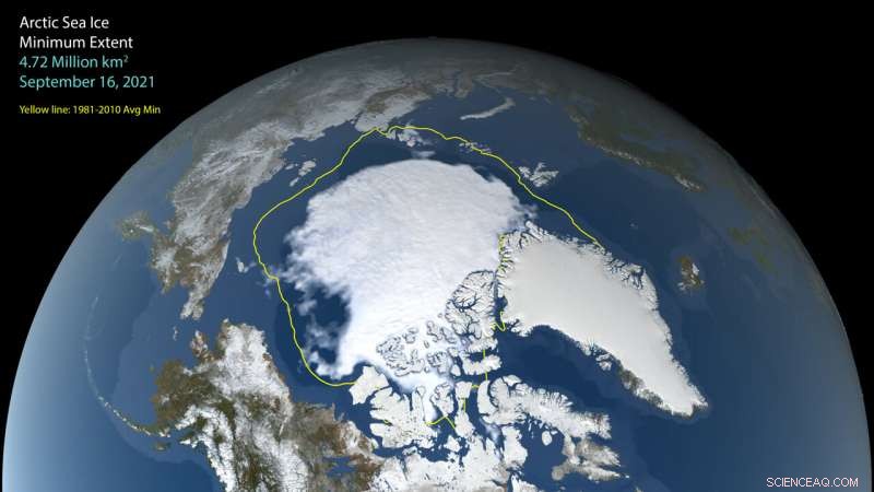 Understanding Sea Ice: 5 Key Facts Explained