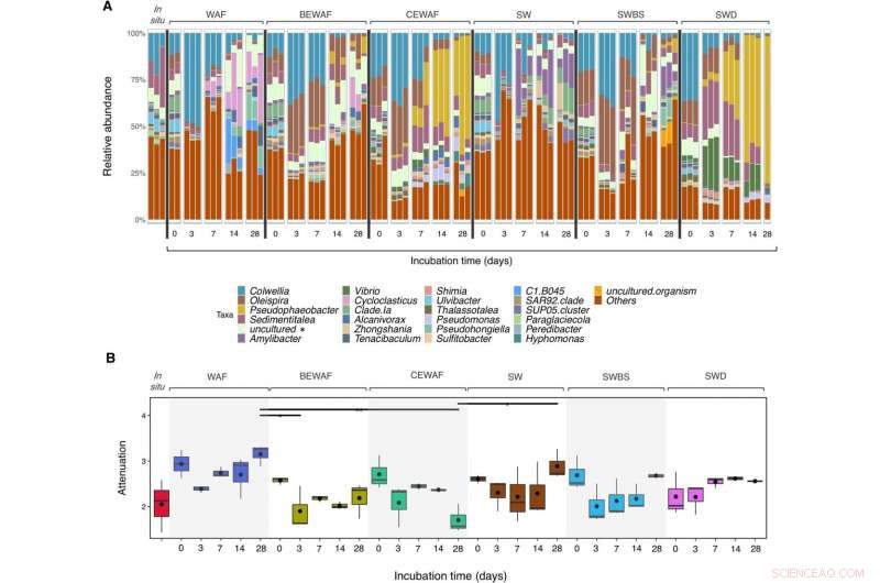Oil Industry Should Invest in Bio‑Solutions to Mitigate Oil Spills