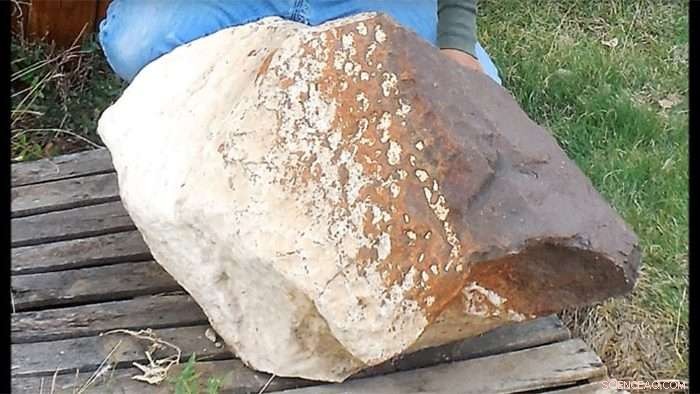 Massive Meteorite Discovered in Texas: A Rare Cosmic Finding