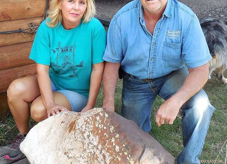 Massive Meteorite Discovered in Texas: A Rare Cosmic Finding