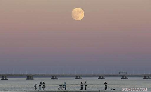 Supermoon Spectacle: Global Photo Gallery of the Moon’s Close Encounter